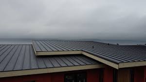 Best Green or Eco-Friendly Roofing Solutions  in Shil, OH